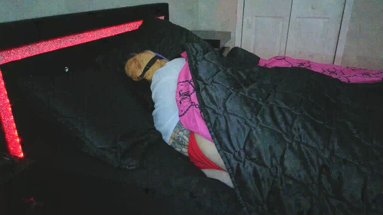 Honeysweetteaxo's Streamate show and profile