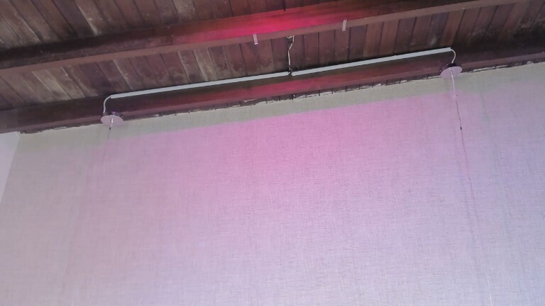 MiaTorricelli's Streamate show and profile