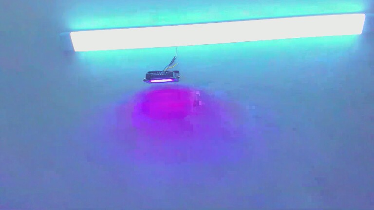 OceanTaylor's Streamate show and profile